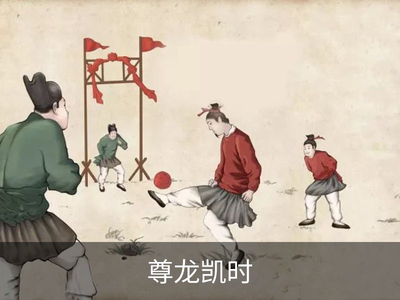 尊龙凯时概况